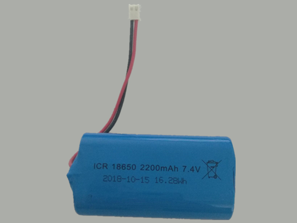 Batterie interne 18650 