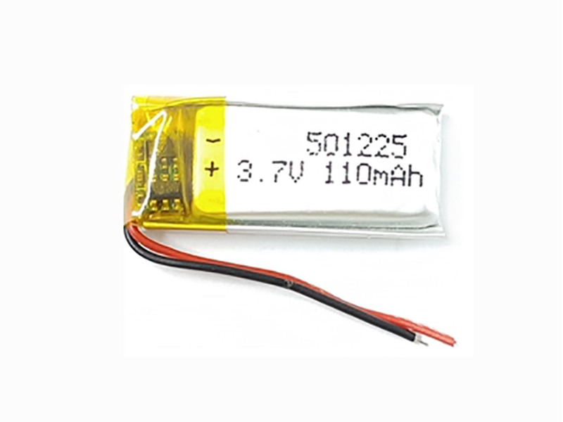 Batterie interne 501225