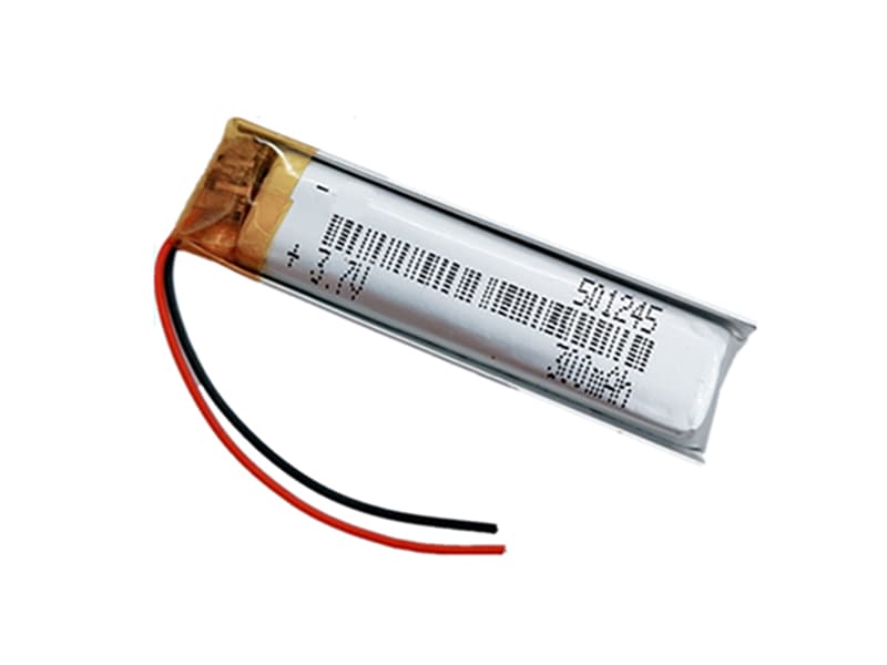 Batterie interne 501245