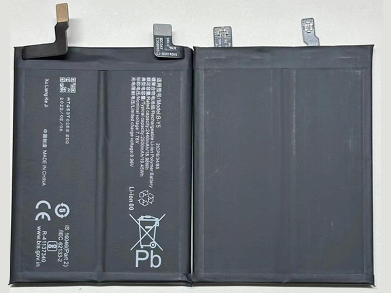 Batterie interne smartphone B-Y5