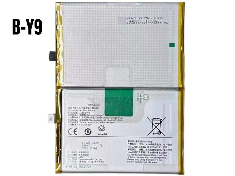 Batterie interne smartphone B-Y9