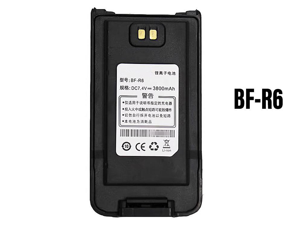 Batterie interne BF-R6