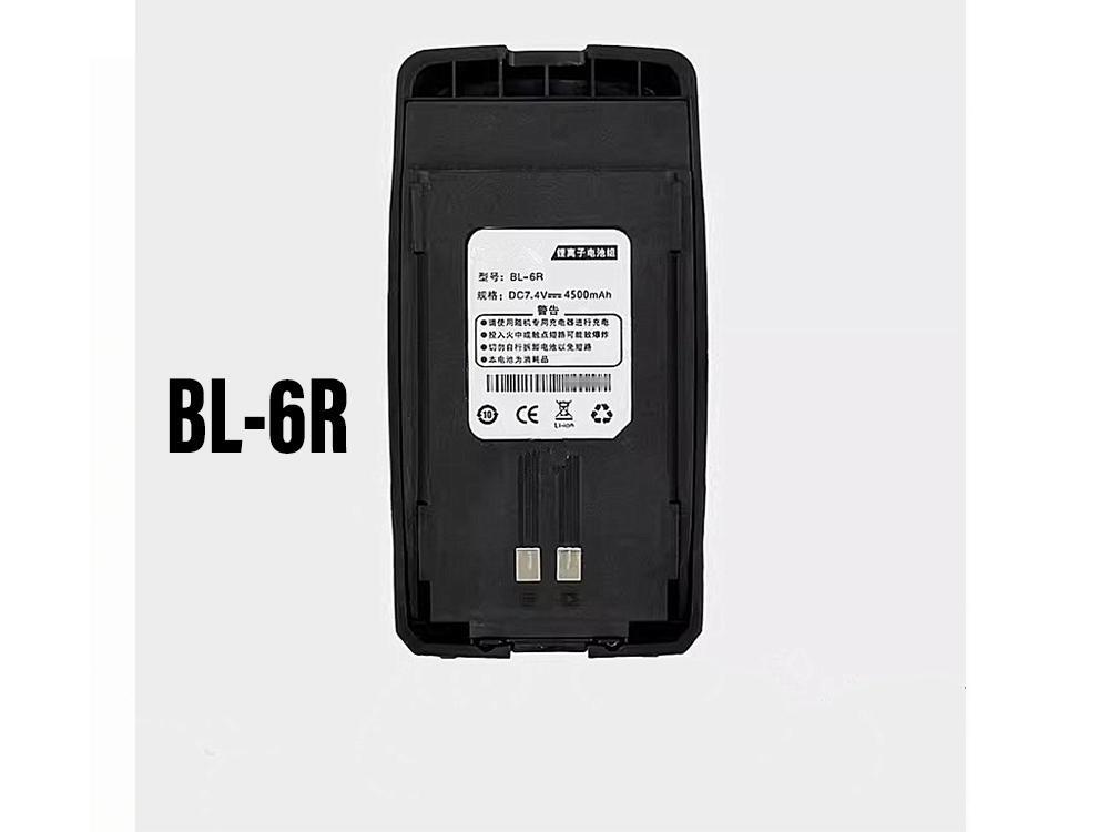 Batterie interne BL-6R