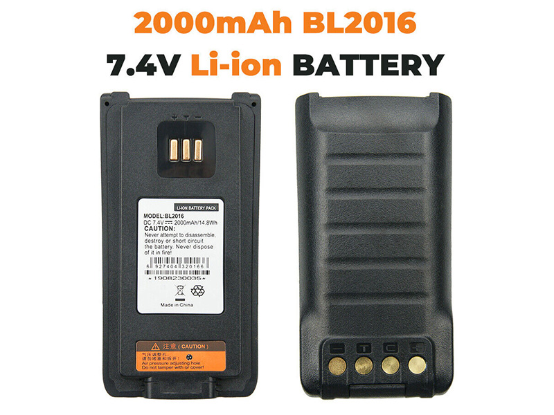 Batterie interne BL2016