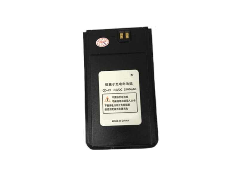 Batterie interne CD-X1
