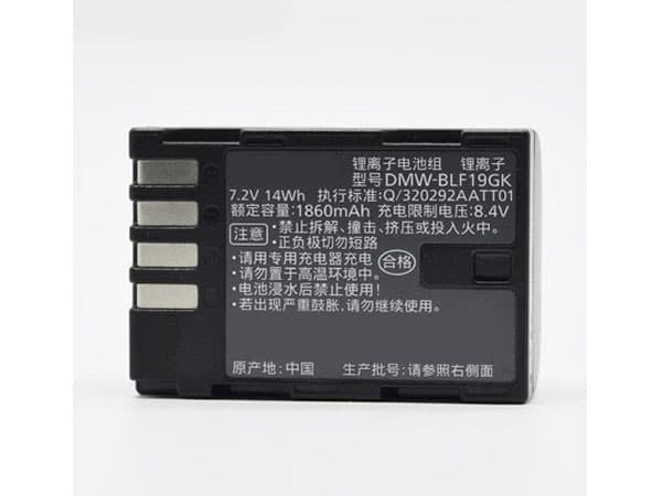Batterie interne DMW-BLF19GK