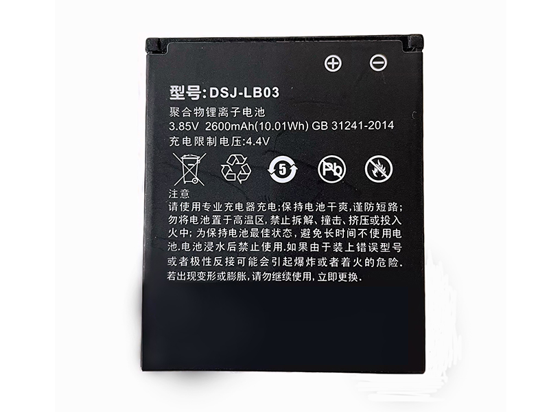 Batterie interne DSJ-LB03
