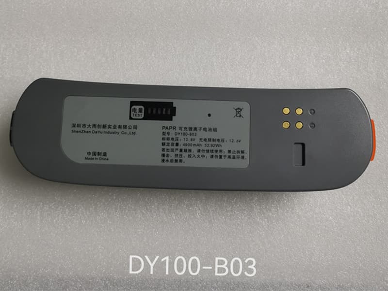 Batterie interne DY100-B03 