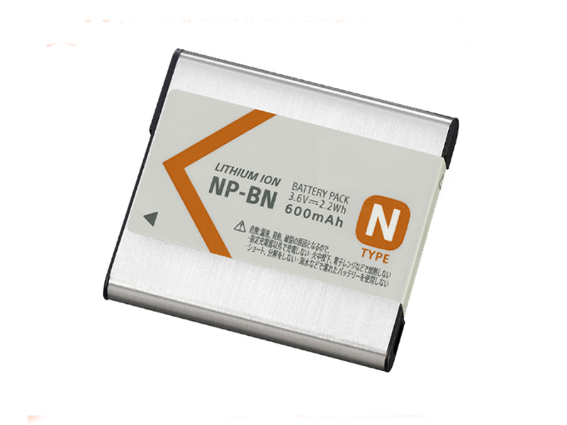 Batterie interne NP-BN