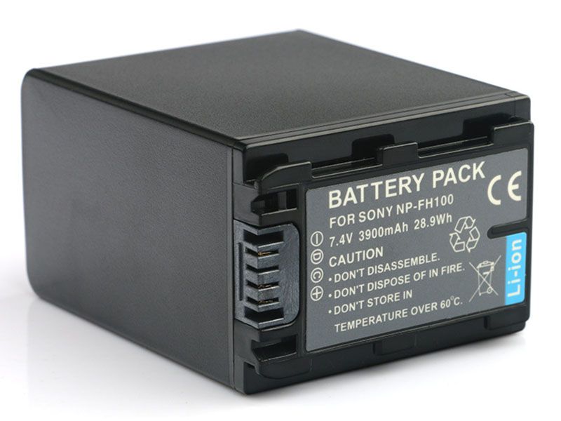 Batterie interne NP-FH100