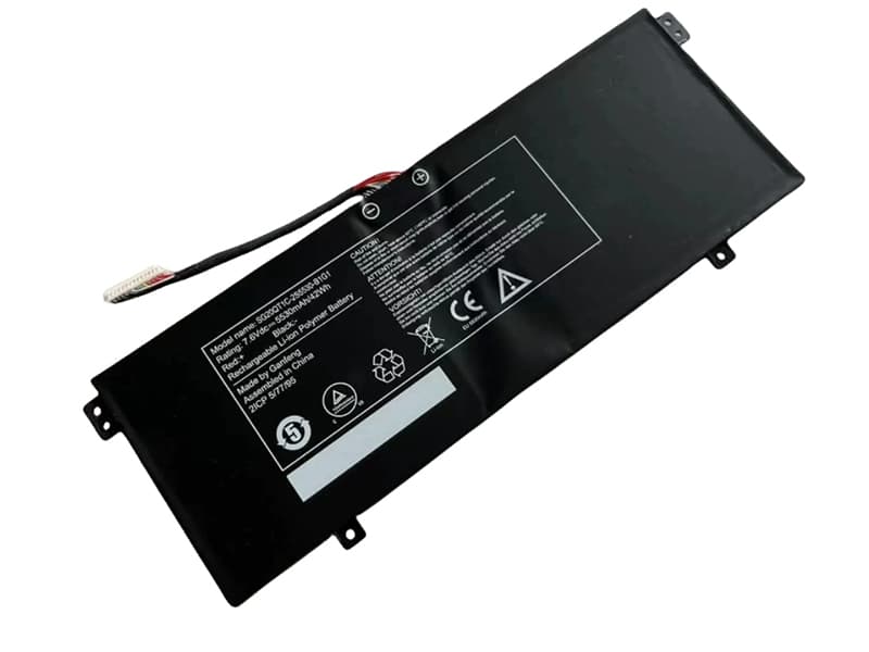 Batterie ordinateur portable SG20QT1C-2SS5530-B1G1