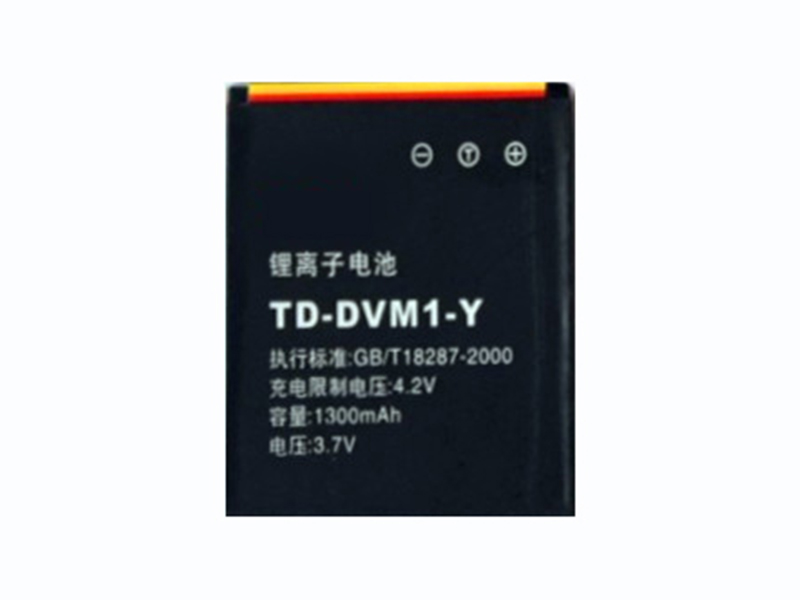 Batterie interne TD-DVM1-Y